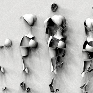 A Study in Motion